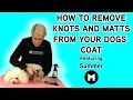 How to remove knots and matts from your dogs coat