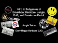 Intro To Breakbeat Subgenres Part 4: Jungle Tekno \u0026 Early UK Happy Hardcore