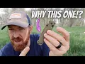 The Only BUGOUT Version That Makes Sense