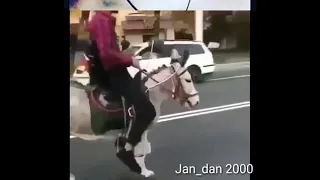 المانيا دورا از تا نابينم 