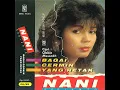 Bagai Cermin Yang Retak - Nani Sugianto