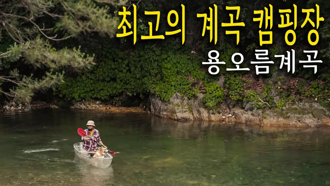 여름에 특화된 캠핑장ㅣ시원한계곡ㅣ우중캠핑ㅣ용오름캠핑장ㅣ미니쿠퍼ㅣcampingㅣキャンピングㅣ콜맨120주년 サムネイル