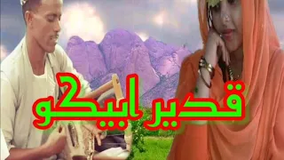 الفنان ابراهيم نوراي اغنيه قدير ابيكو 