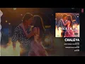 Jawan: Chaleya (Audio) | Shah Rukh Khan | Nayanthara | Atlee | Anirudh | Arijit S, Shilpa R | Kumaar