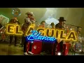 Grupo Firme x Los Tucanes de Tijuana [ El Águila Blanca ] LETRA 2025
