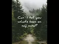 Cody Francis - Honey Take My Hand (lyrics)