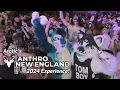 Arctic s Anthro New England 2024 Experience Con Review Recap Aftermovie