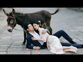 Download Lagu 乡野女孩一不小心撞进亿万总裁的怀里成为了他的妻子，她的命运从此逆袭 🥰 中国电视剧