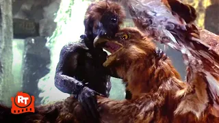 The Golden Voyage of Sinbad (1973) - Centaur vs. Griffin! (9/10) | Movieclips