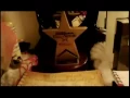 Bugle - What Have I Done To You [Official Music Video]