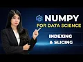 Array Indexing and Slicing in NumPy Access Rows Columns Filter Data