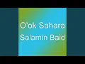 Download Lagu Salamin Baid