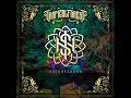 Download Lagu Tropical Forest - Suaran Alam. 2022 (Audio Video desde Indonesia)