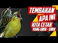Download Lagu POKOKNYA MANTAP BUAT MASTERAN PLECI LAGU TEMBAKAN UNIK SPEED - NGECIRRRR #masteransogon