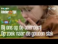 Download Lagu Op zoek naar de gouden slak | Bij ons op de boerderij | Kindertijd KRO-NCRV