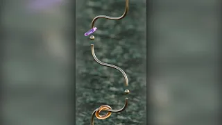 Impossible Jelly Rings Challenge!