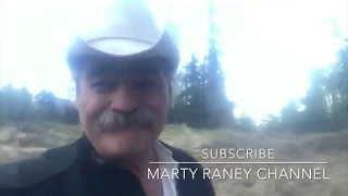 Alaska Porcupine Issues on the Raney Family Homestead