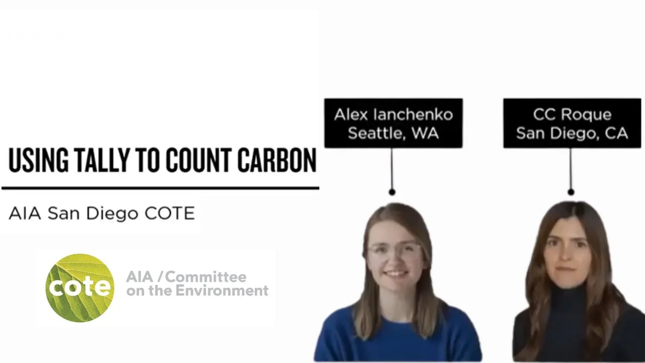 COTE Carbon Tool Showcase | Using Tally To Count Carbon