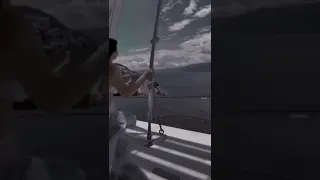 انا نفسي اطير تصميم حياة 