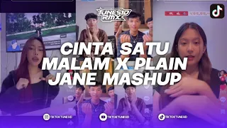 dj cinta satu malam x plain jane a ap ferg mashup