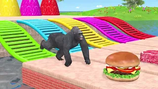 Giant Animals Race Down a Rainbow Slide — Who Wins?