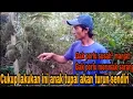 Download Lagu Cara mudah mencari sarang tupai/anak tupai auto dapet banyak