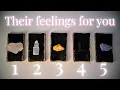 Someone secretly feels this way about you PICK A CARD Tarot Reading Timeless