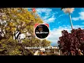 Supernatural ( LONZ RMX ) Fenua vibe