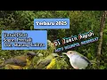 Download Lagu Suara Pikat Sogon Ribut Vs Prenjak Lumut 2025