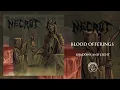 Necrot - Shadows and Light