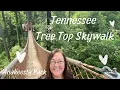 Tree Top Skywalk Anakeesta Park - Gatlinburg TN