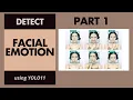 Facial Emotion Detection using Yolo11 - Part 1