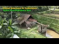 Download Lagu Silaturahmi Di Kampung Pasir Peuteuy Tasikmalaya, Warganya Someah  Serasa Di kampung Sendiri.