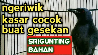 ngeriwik kasar cocok buat gesekan srigunting bahan