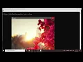 Create collage using OpenCV-Python
