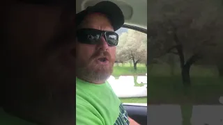 The boats are out! #shorts