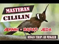 Download Lagu MASTERAN CILILIN SUARA JERNIH JOSS UNTUK MURAI BATU
