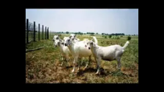 mp 4 song part 11