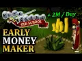 OSRS Best Early Game Money Maker - Up to 2 2026 Herb Run Guide