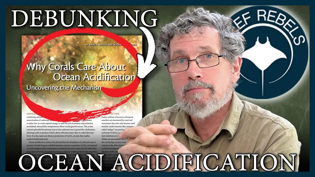 Ocean acidification: The facts they never told you about corals