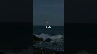 Most Beautiful Things In The World Whatch Till The End Shorts Beautiful Shortsfeed Aesthetic 