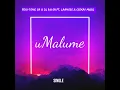 uMalume (feat.Laanoss & Ceekay Musiq)