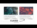 Curved Drop Shadow Effect For Responsive Card Layout - A CSS Trick
