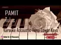 Download Lagu Tulus - Pamit (Karaoke Akustik Versi Lower Keys)