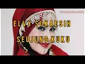 Download Lagu lirik Lagu Seujung Kuku - Elvy Sukaesih (video lirik)