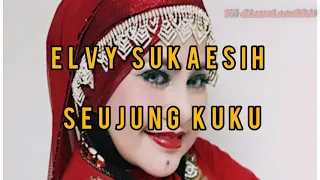Download lirik Lagu Seujung Kuku - Elvy Sukaesih (video lirik) MP3