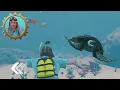 Gems, Tigers, Robots + more! 💎🤖🌋 Floor is Lava Adventure Compilation | Danny Go! Songs for Kids