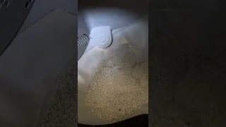 Litter robot issue