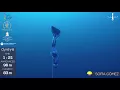 AIDA Depth World Championship Roatan 2017 - Sofia Gomez CWT NR CR