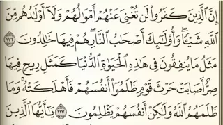 الصفحة 65 فارس عباد الصفحة التالية وصف الفيديو 